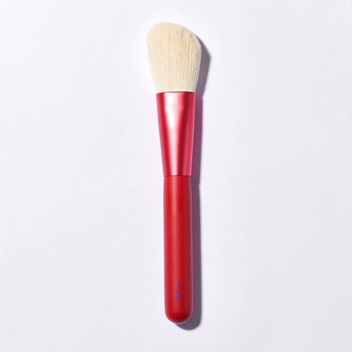 On Fire 12 Piece Brush Set