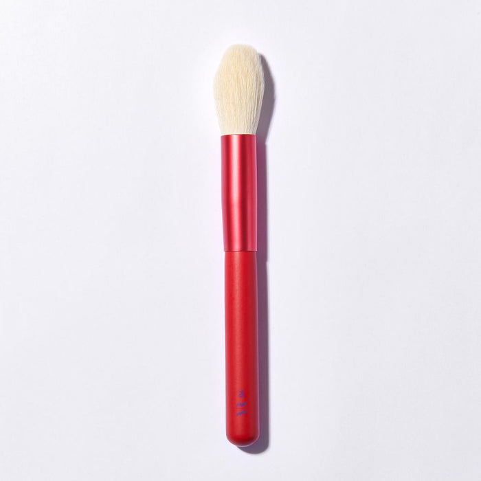 On Fire 12 Piece Brush Set